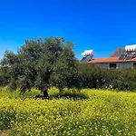 Bare Hill Krini
