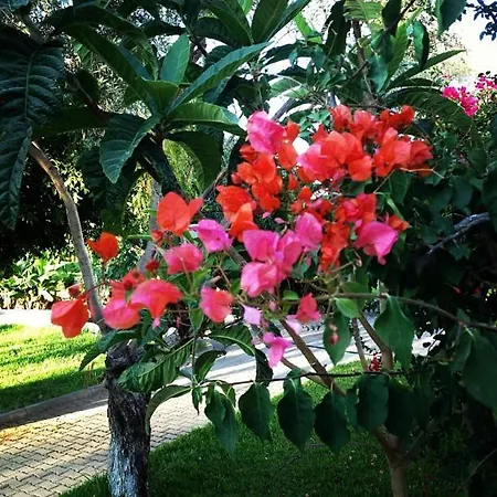 Bare Hill アパートホテル Krini