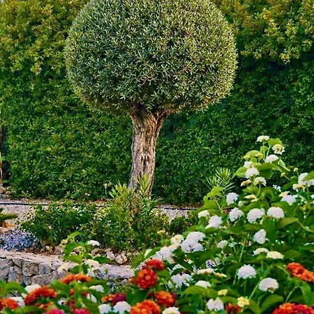 Bare Hill מלון דירות 3*