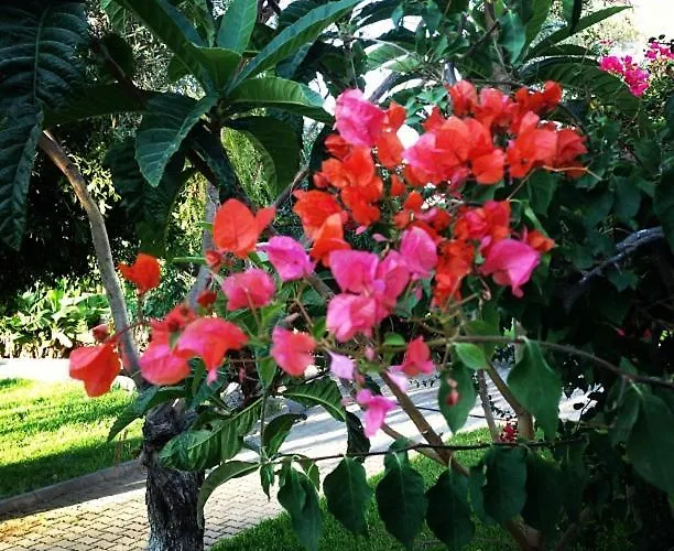 Bare Hill Aparthotel Krini