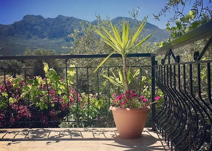 Aparthotel Bare Hill Krini