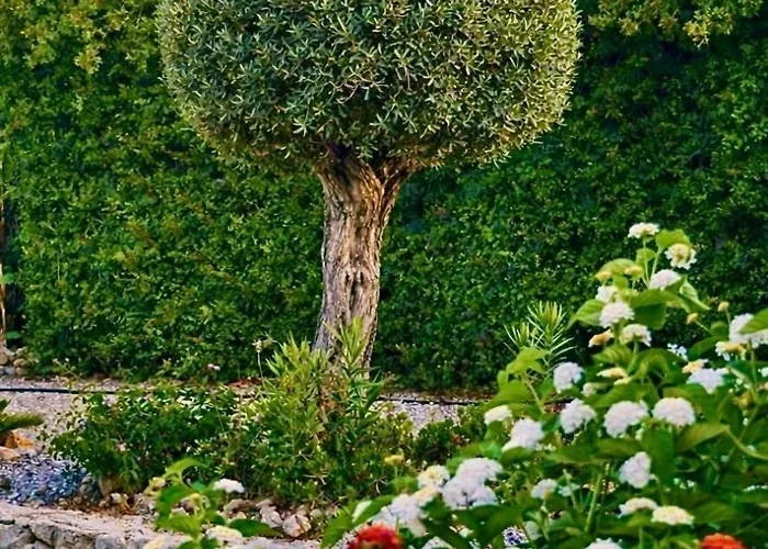 Bare Hill Aparthotel 3*